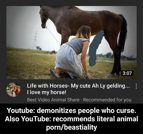 Horse Sex. The best animal porn and zoophilia xxx videos.